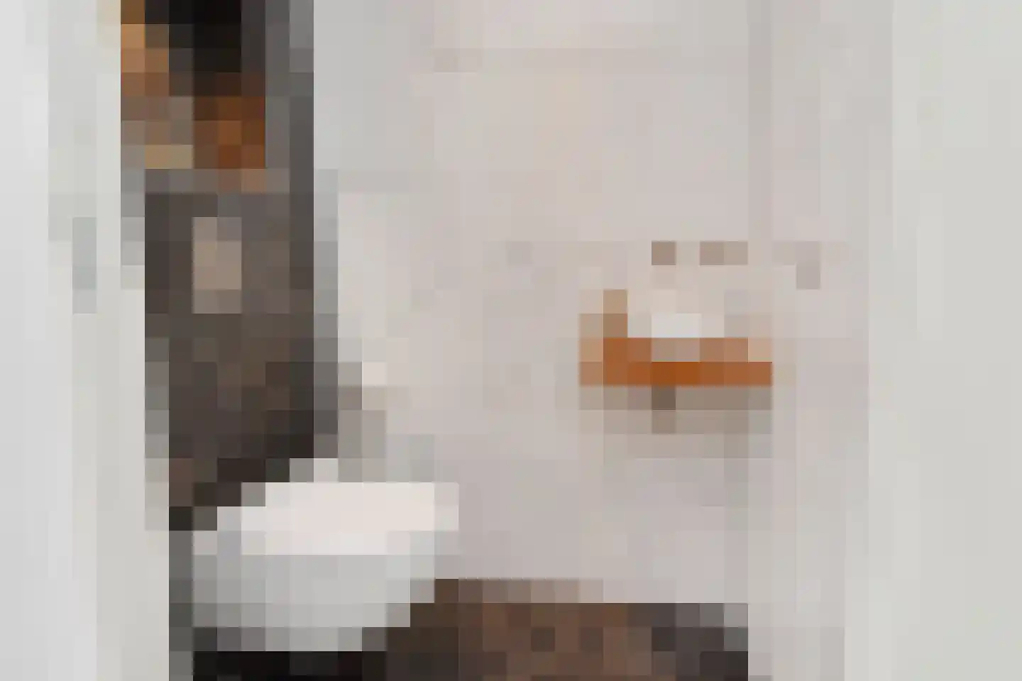 Dr. Ter Haarlaan 28 Poeldijk thumbnail 37