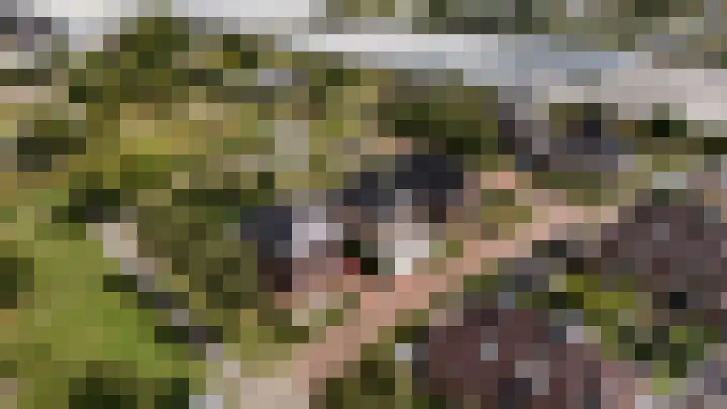 Dr. Ter Haarlaan 28 Poeldijk thumbnail 4