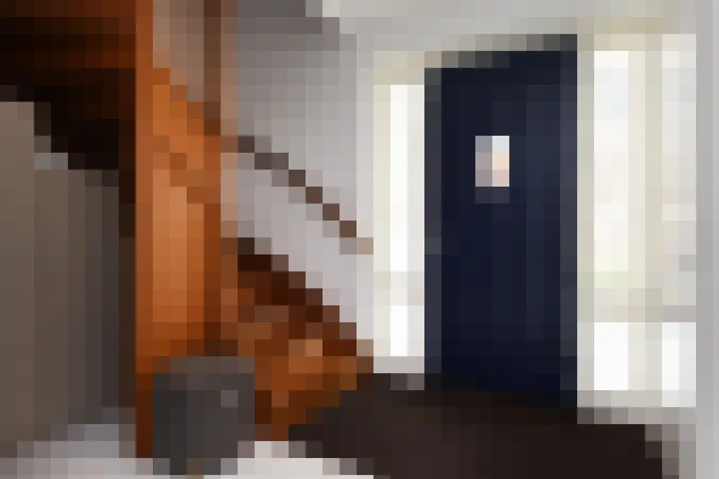Dr. Ter Haarlaan 28 Poeldijk thumbnail 40