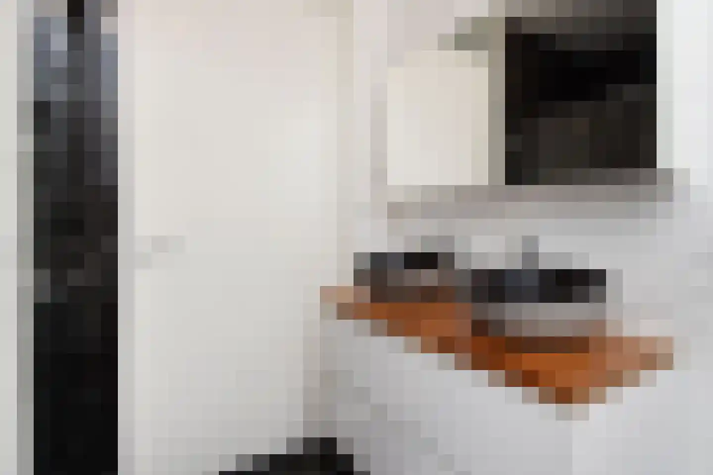 Dr. Ter Haarlaan 28 Poeldijk thumbnail 55