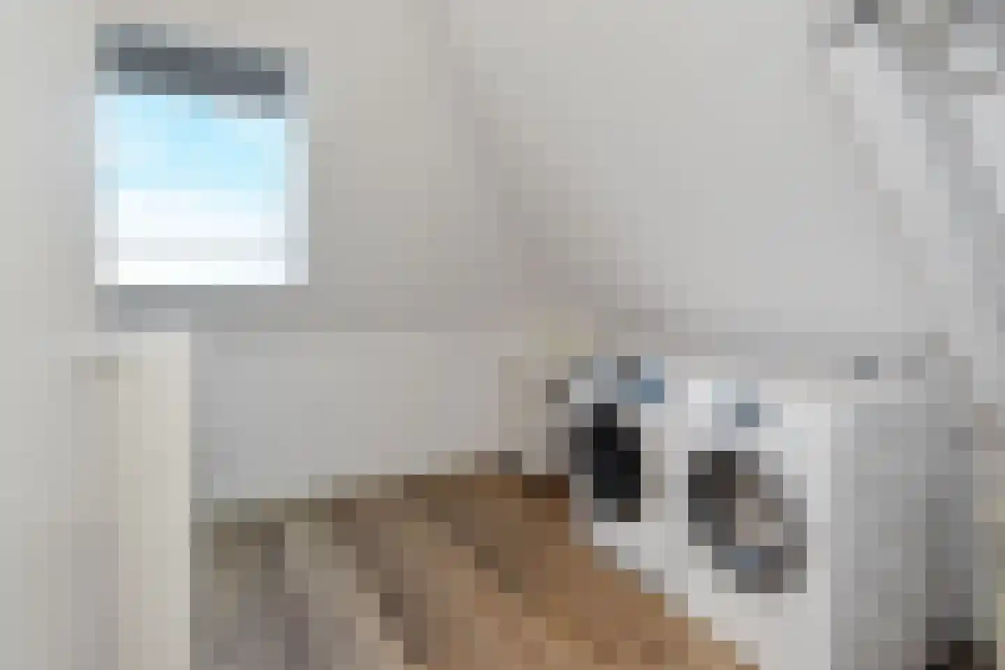Dr. Ter Haarlaan 28 Poeldijk thumbnail 68