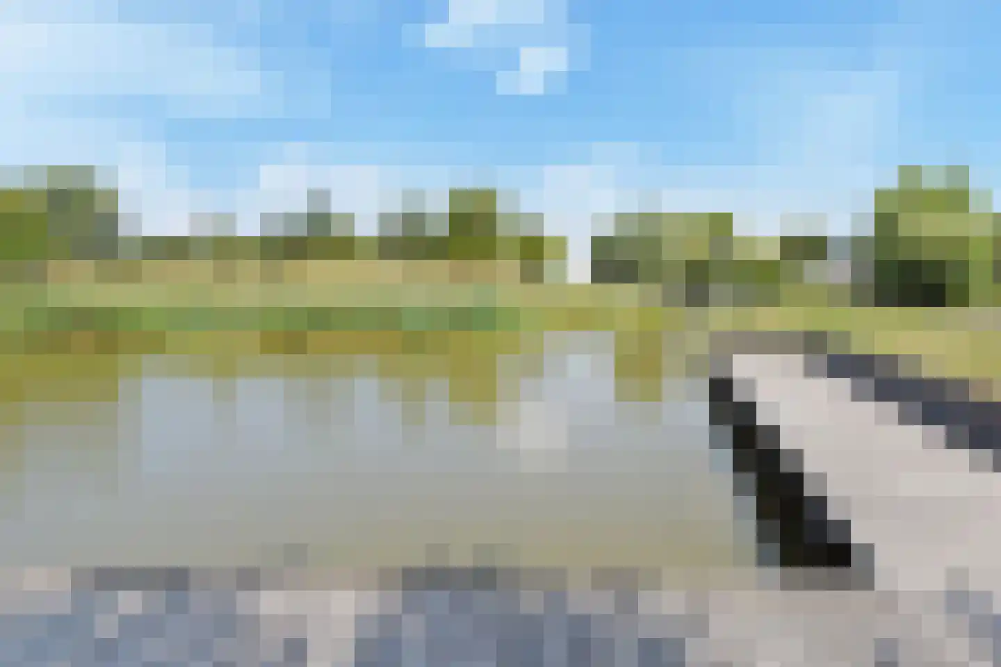 Dr. Ter Haarlaan 28 Poeldijk thumbnail 85