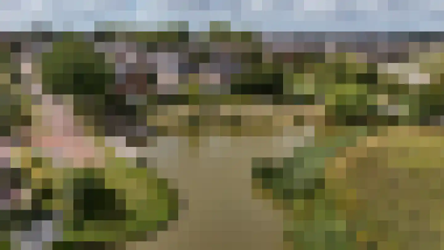 Dr. Ter Haarlaan 28 Poeldijk thumbnail 95