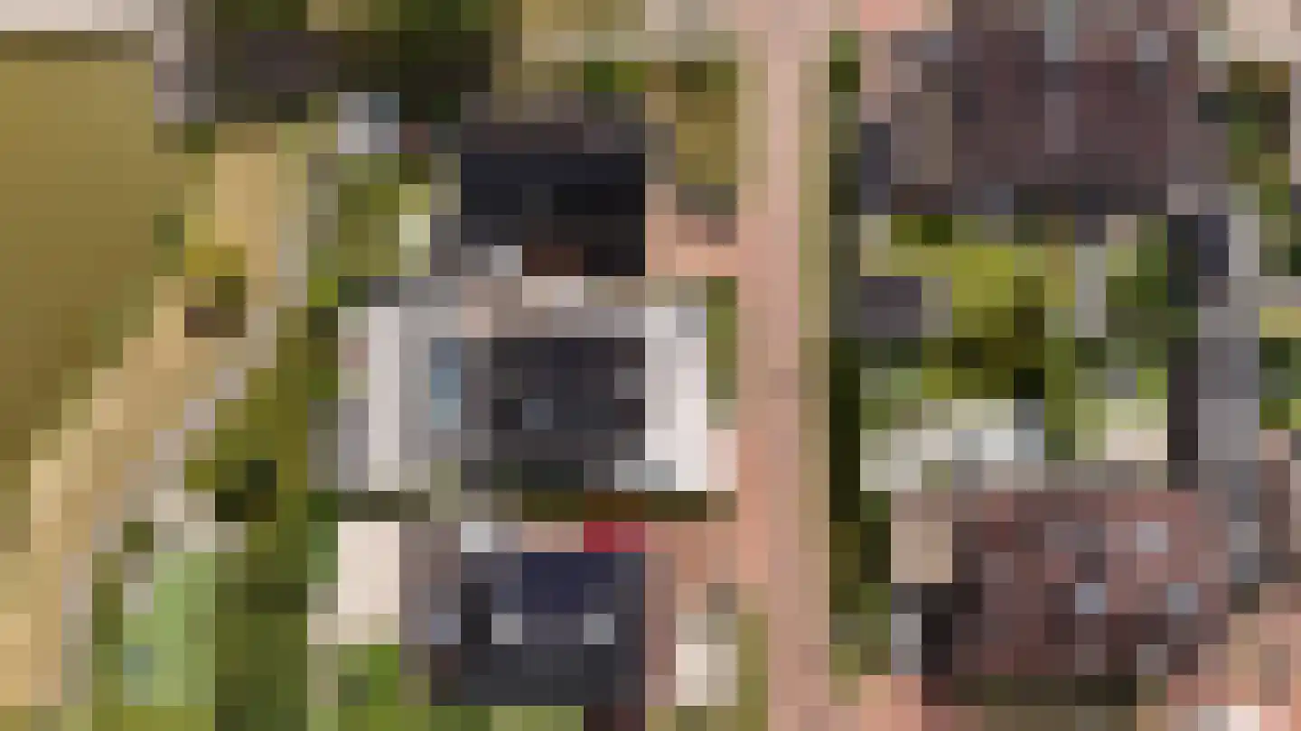 Dr. Ter Haarlaan 28 Poeldijk thumbnail 96