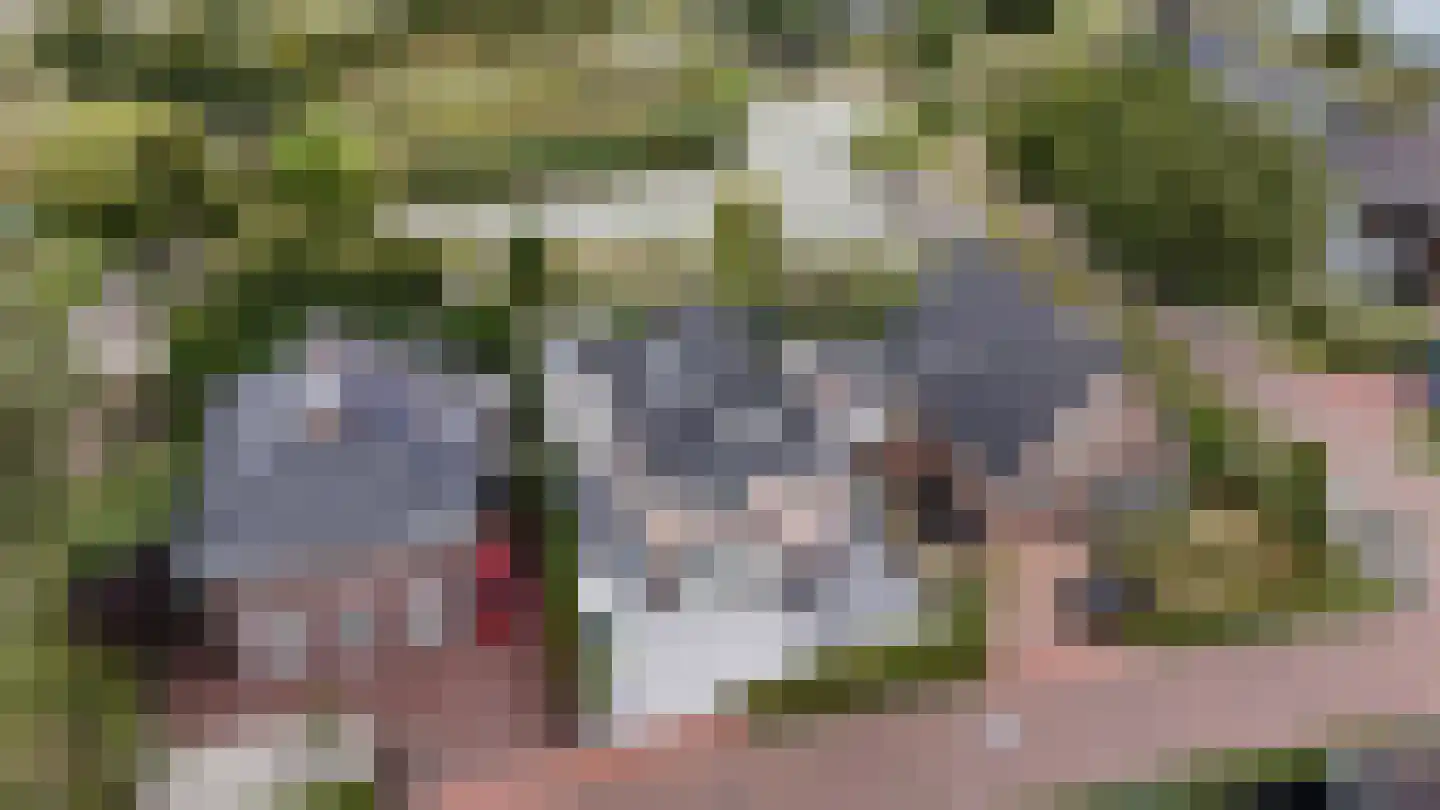 Dr. Ter Haarlaan 28 Poeldijk thumbnail 97
