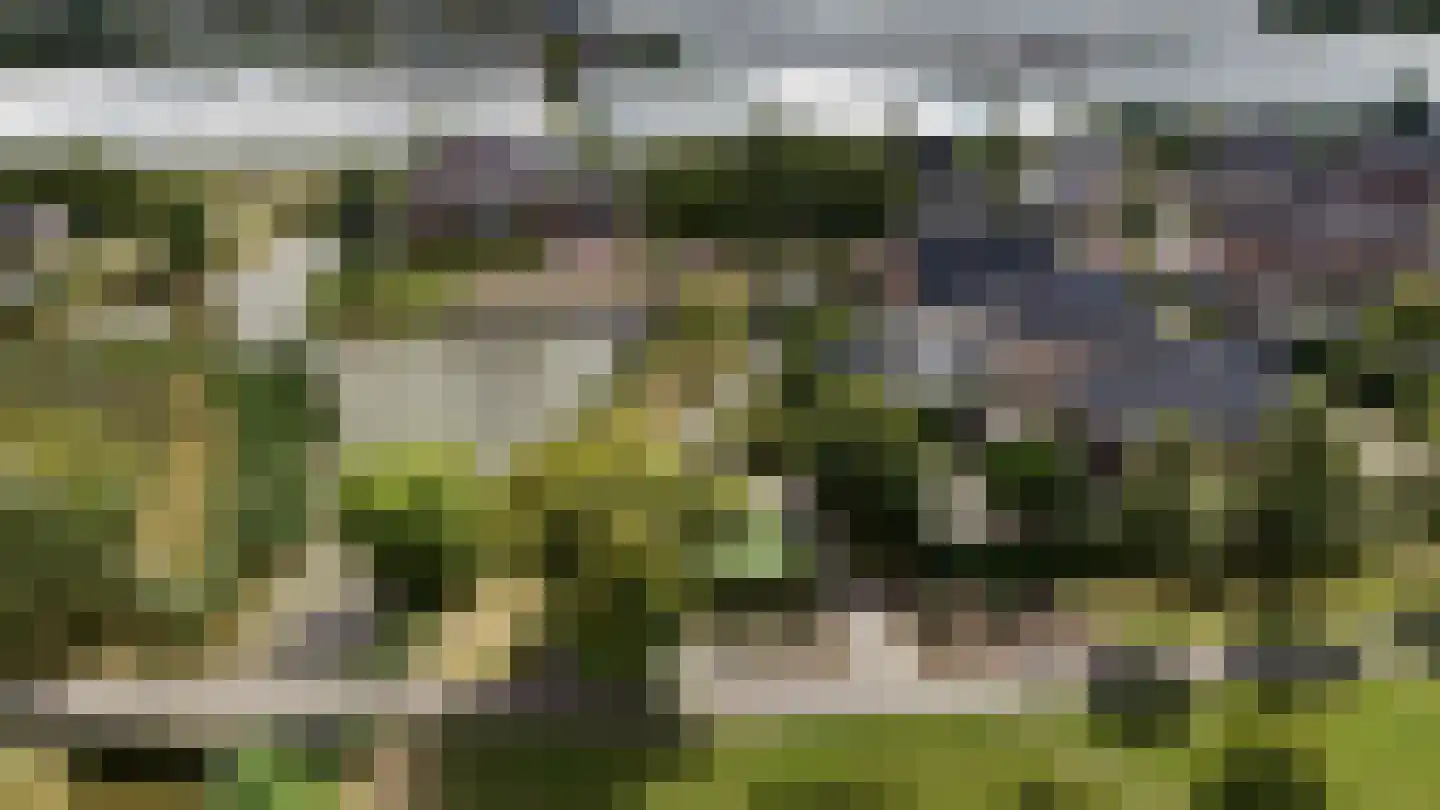 Dr. Ter Haarlaan 28 Poeldijk thumbnail 98