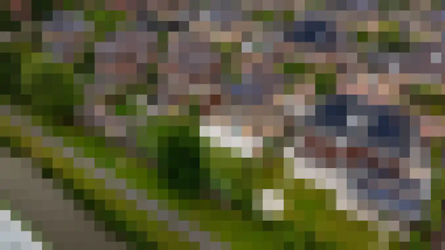 Dr. Ter Haarlaan 8 Poeldijk