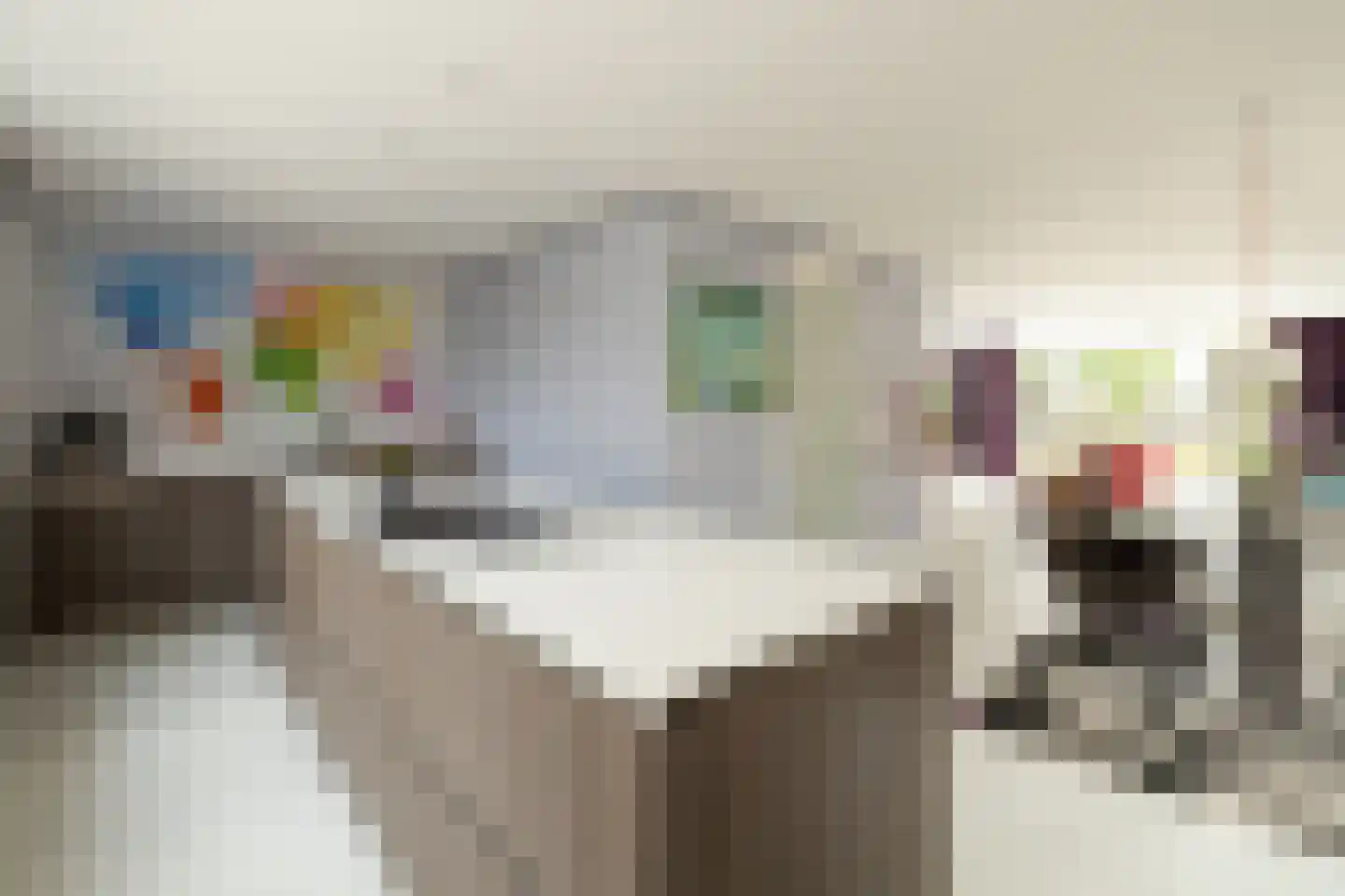 Dr. Ter Haarlaan 8 Poeldijk thumbnail 12