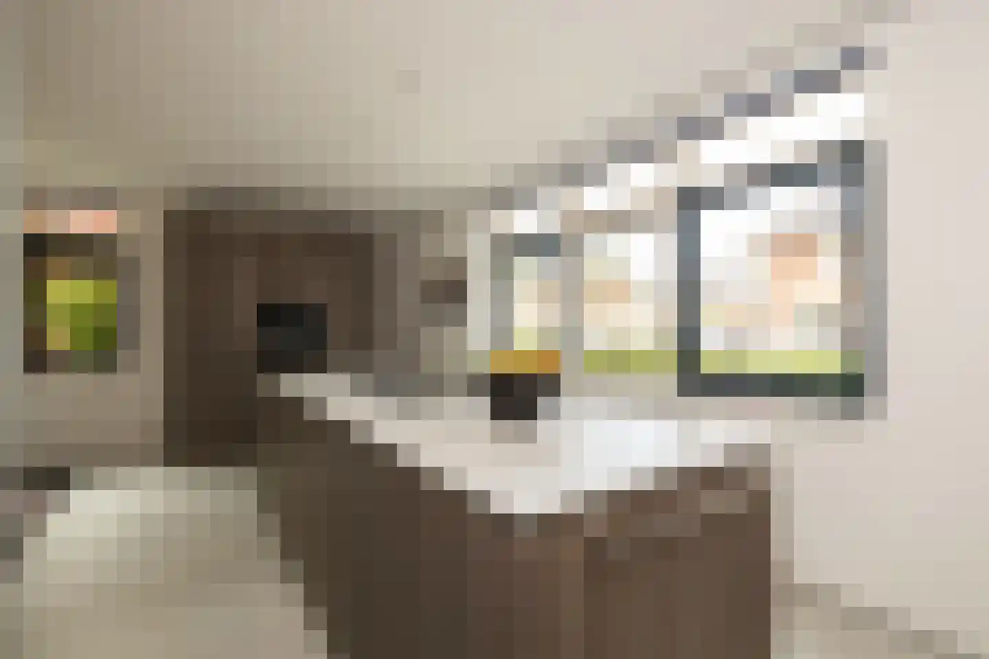 Dr. Ter Haarlaan 8 Poeldijk thumbnail 13