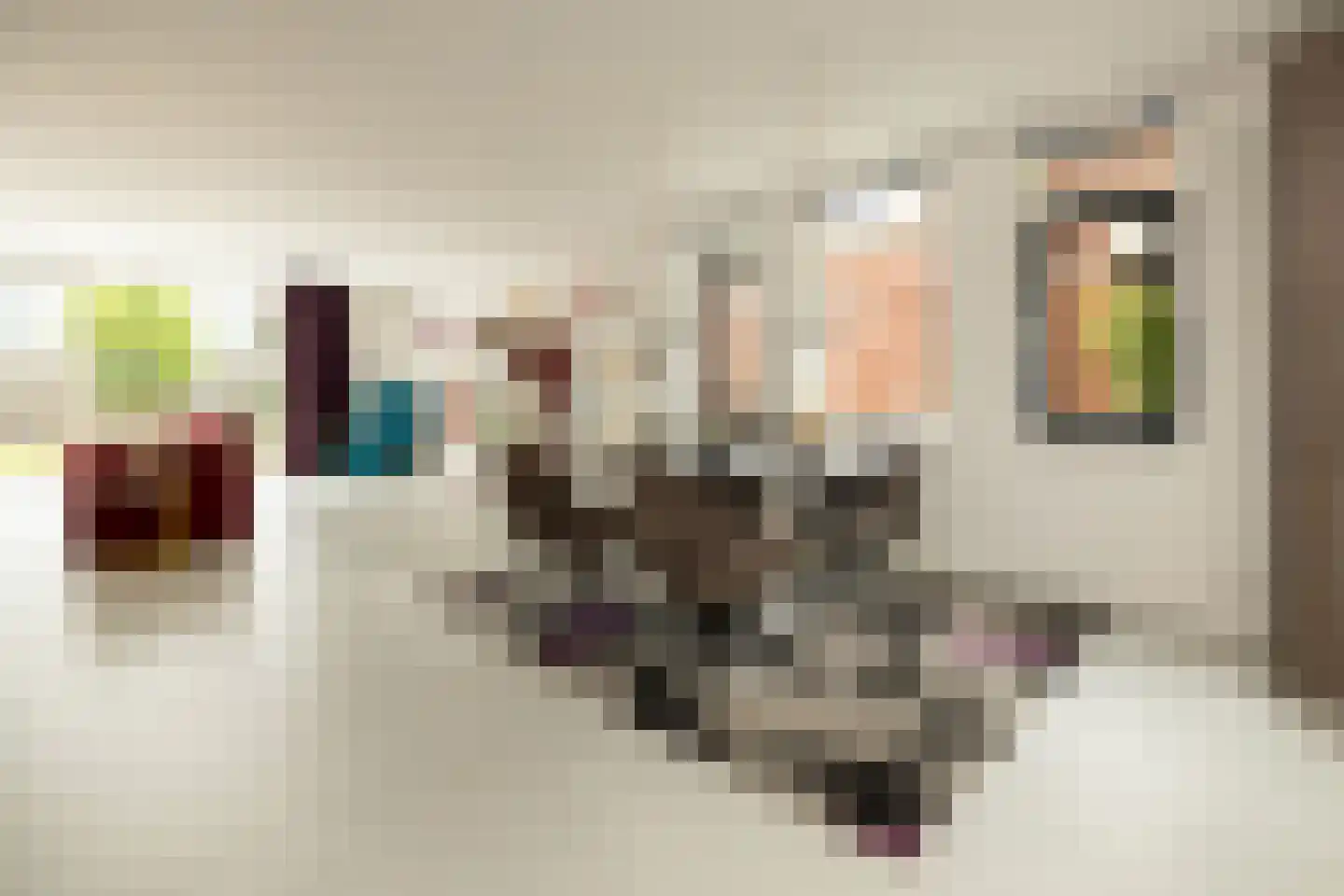 Dr. Ter Haarlaan 8 Poeldijk thumbnail 14