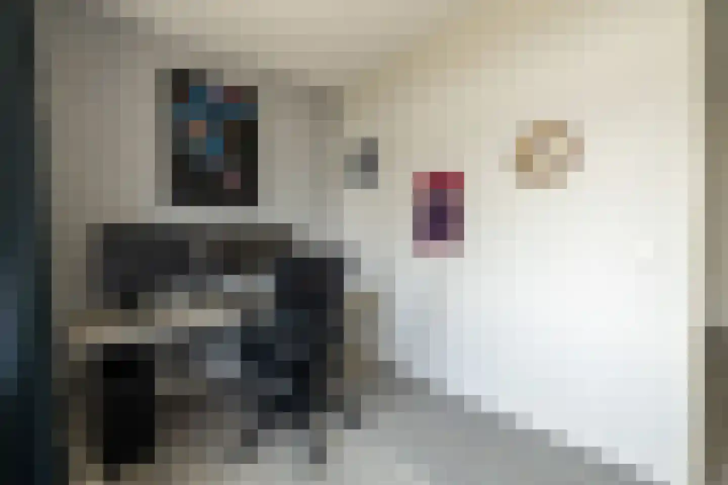 Dr. Ter Haarlaan 8 Poeldijk thumbnail 25