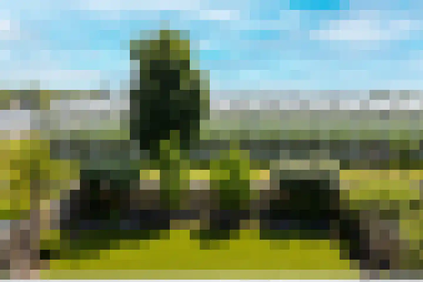 Dr. Ter Haarlaan 8 Poeldijk thumbnail 29