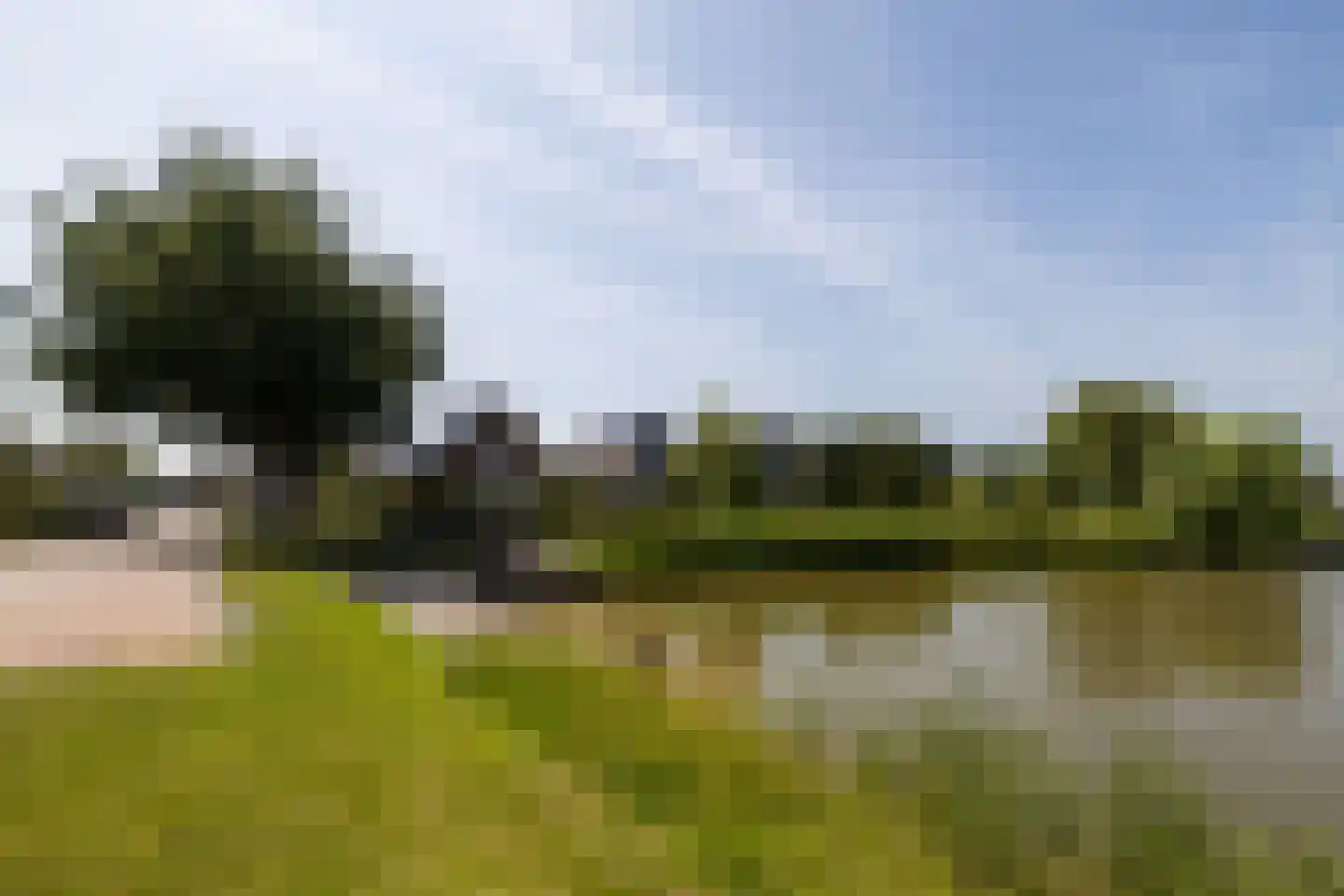 Dr. Ter Haarlaan 8 Poeldijk thumbnail 39