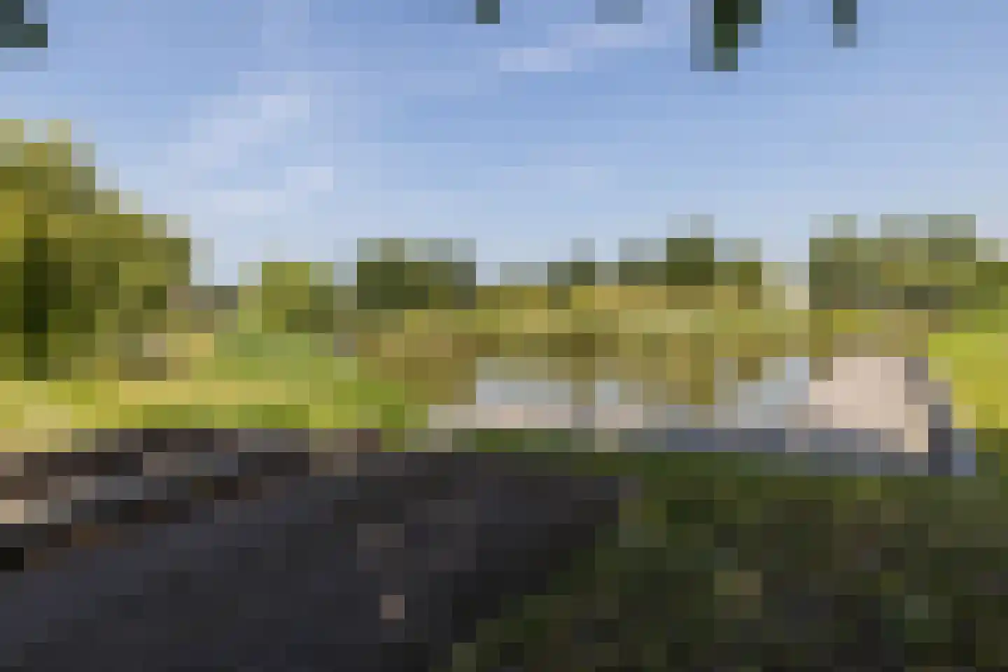 Dr. Ter Haarlaan 8 Poeldijk thumbnail 40
