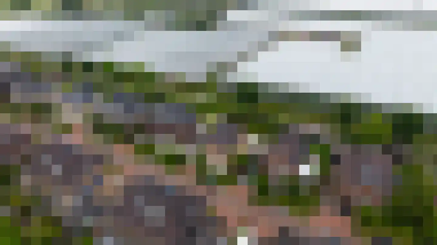 Dr. Ter Haarlaan 8 Poeldijk thumbnail 43