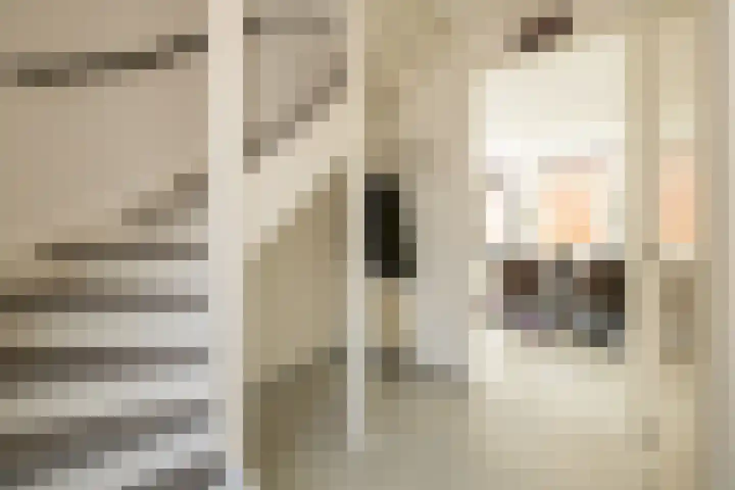 Dr. Ter Haarlaan 8 Poeldijk thumbnail 5