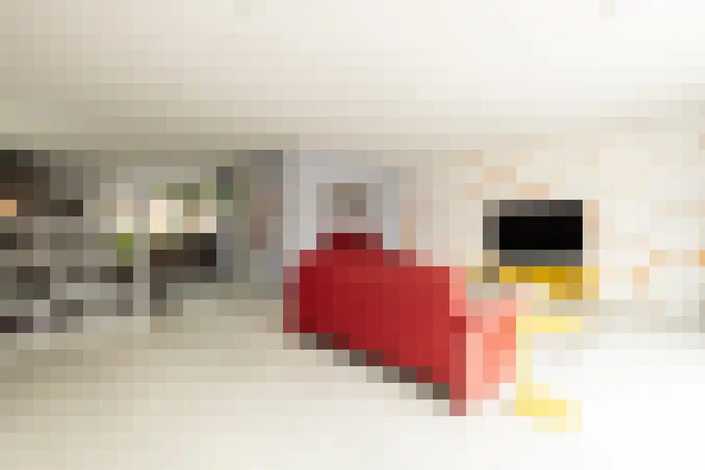 Dr. Ter Haarlaan 8 Poeldijk thumbnail 9
