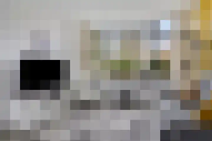 Dr. Th. Tjabbesstraat 26 Veendam thumbnail 11