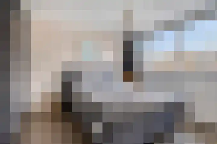 Dr. Th. Tjabbesstraat 26 Veendam thumbnail 27
