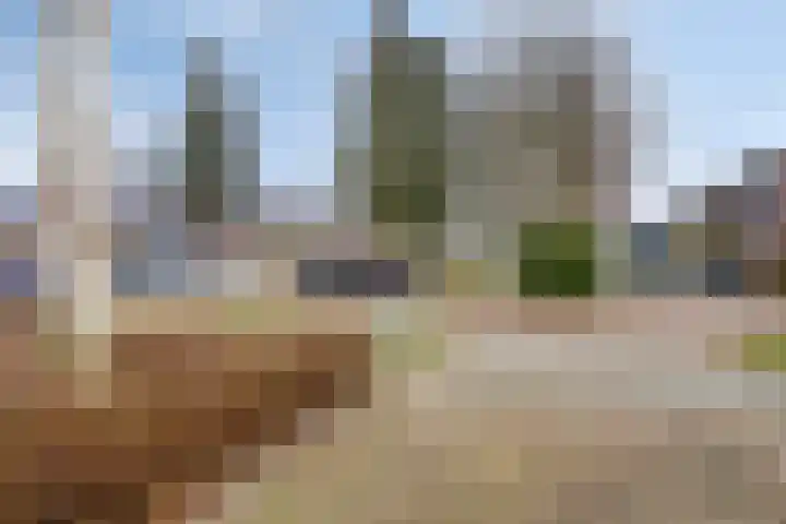 Dr. Th. Tjabbesstraat 26 Veendam thumbnail 5