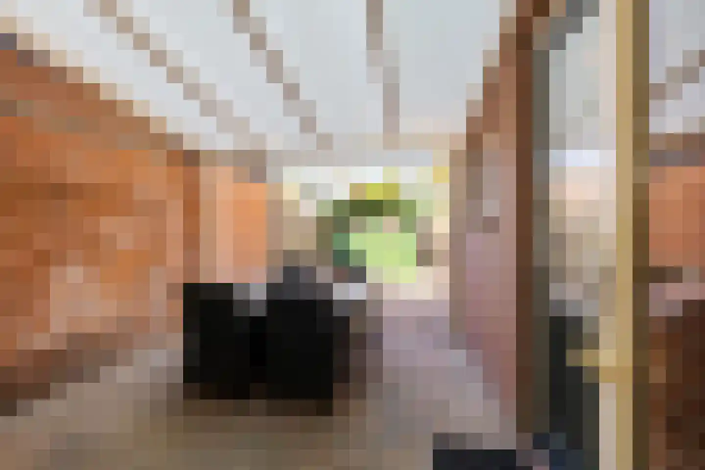 Dr. Th. Tjabbesstraat 36 Veendam thumbnail 19