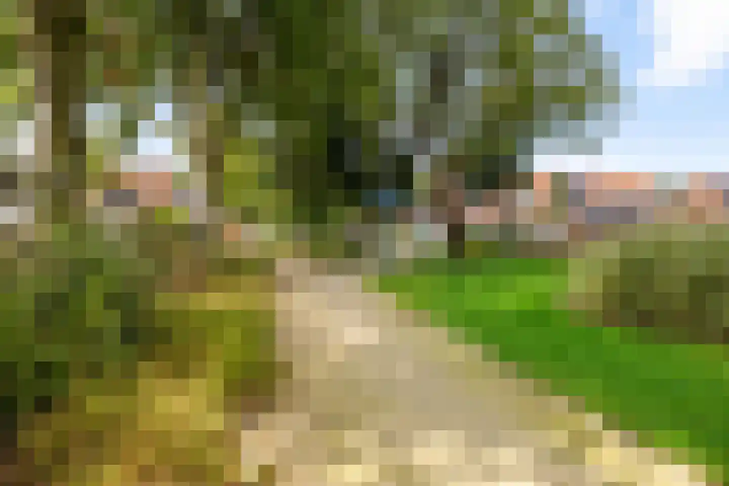 Dr. Th. Tjabbesstraat 36 Veendam thumbnail 36