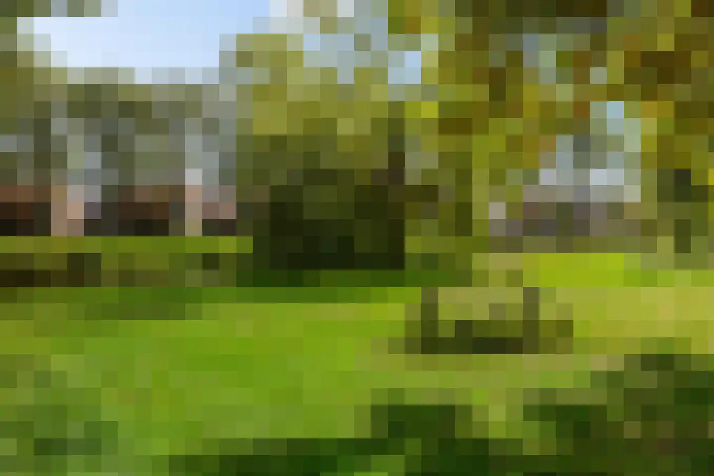 Dr. Th. Tjabbesstraat 36 Veendam thumbnail 37