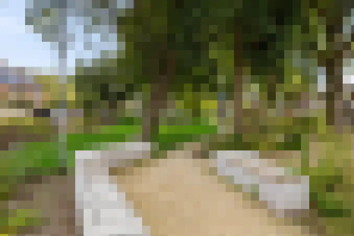 Dr. Th. Tjabbesstraat 36 Veendam thumbnail 40