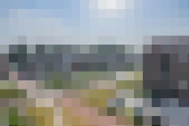 Dr. Thijsselaan 57 Krimpen aan den IJssel thumbnail 29