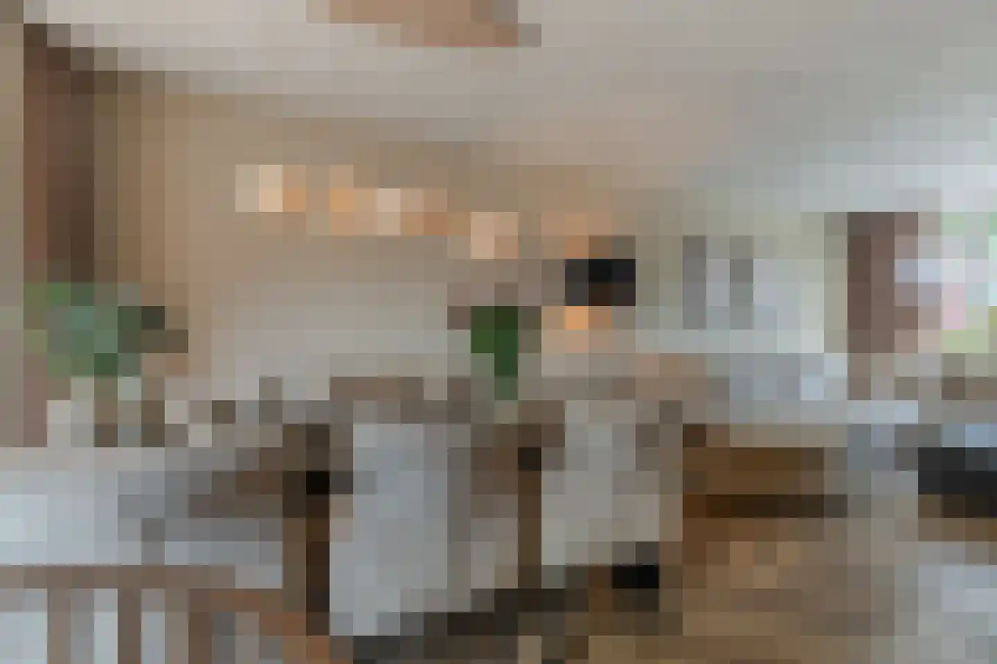 Dr. Tijdensstraat 15 Ter Apel thumbnail 24