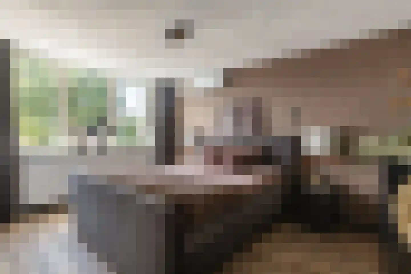 Dr. Tijdensstraat 15 Ter Apel thumbnail 30