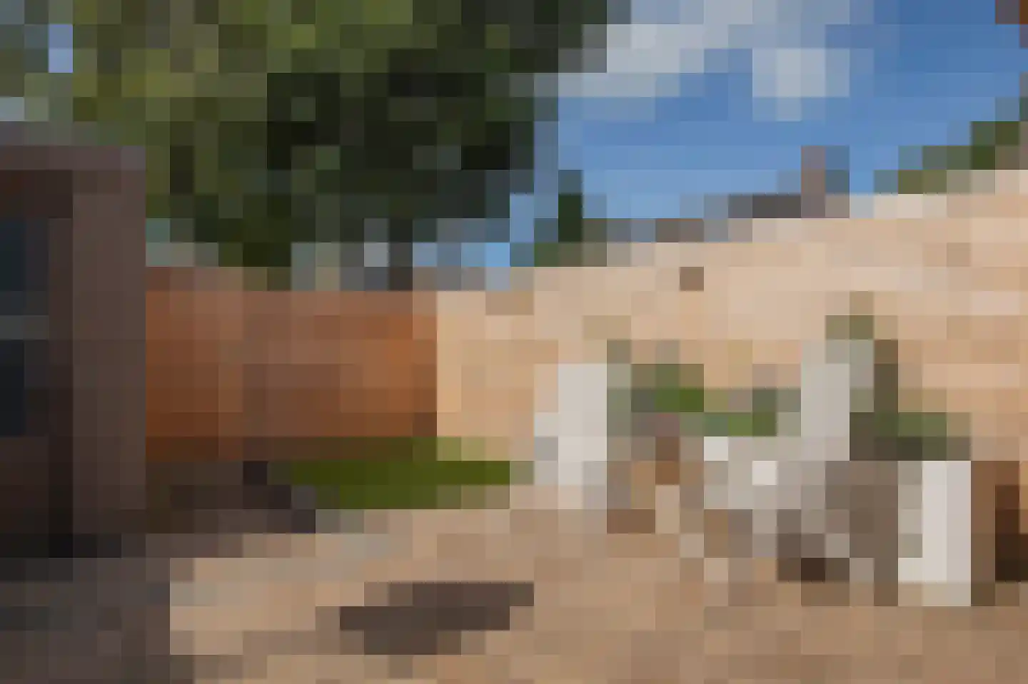 Dr. Tijdensstraat 15 Ter Apel thumbnail 42
