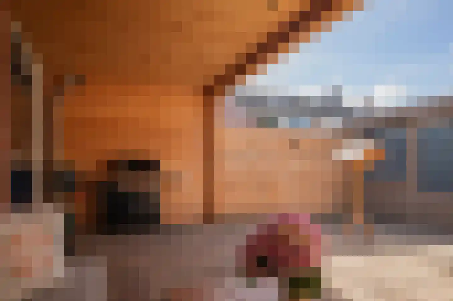 Dr. Tijdensstraat 15 Ter Apel thumbnail 43