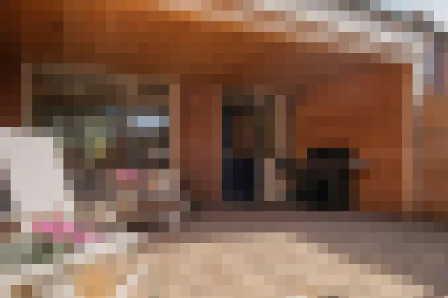 Dr. Tijdensstraat 15 Ter Apel thumbnail 45