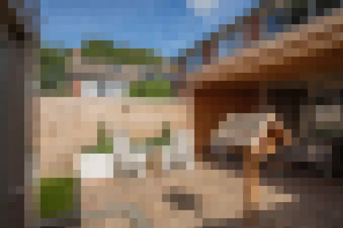Dr. Tijdensstraat 15 Ter Apel thumbnail 47