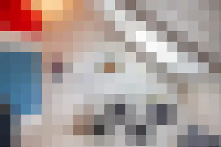 Dr.v.d.Hoevenlaan 1 b Eefde thumbnail 41