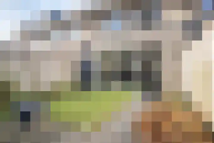 Dr.v.d.Hoevenlaan 1 b Eefde thumbnail 42