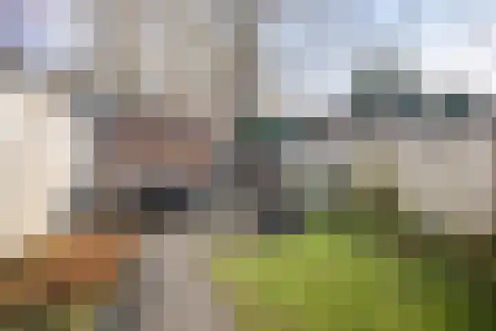 Dr.v.d.Hoevenlaan 1 b Eefde thumbnail 43