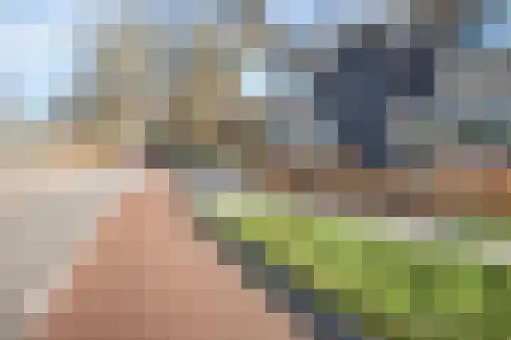 Dr.v.d.Hoevenlaan 1 b Eefde thumbnail 50