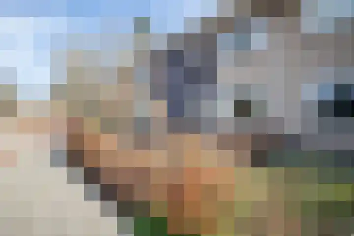 Dr.v.d.Hoevenlaan 1 b Eefde thumbnail 51