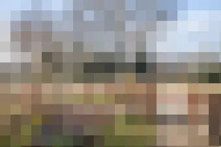 Dr.v.d.Hoevenlaan 1 b Eefde thumbnail 53