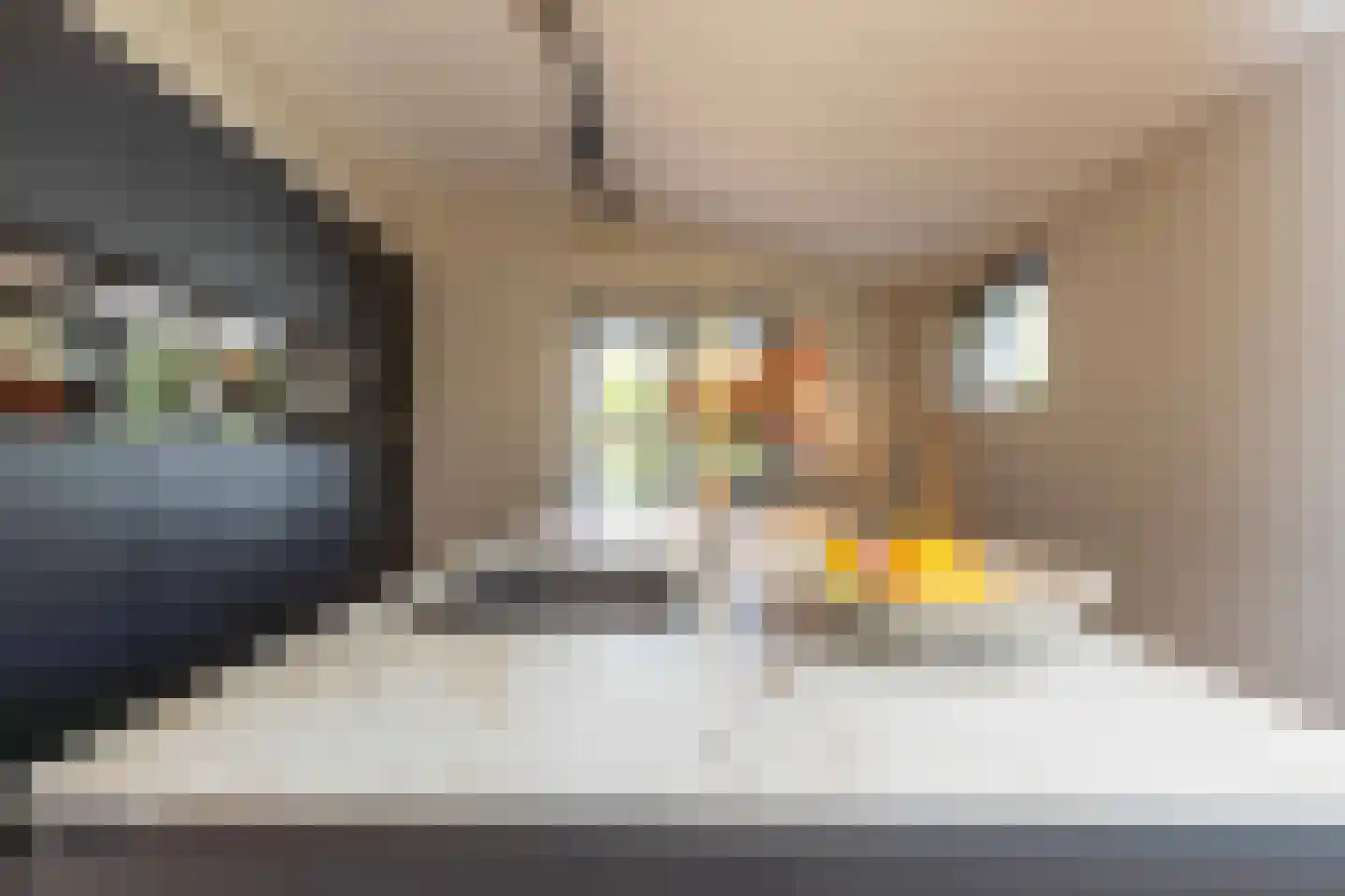 Dr.v.d.Hoevenlaan 18 Eefde thumbnail 13
