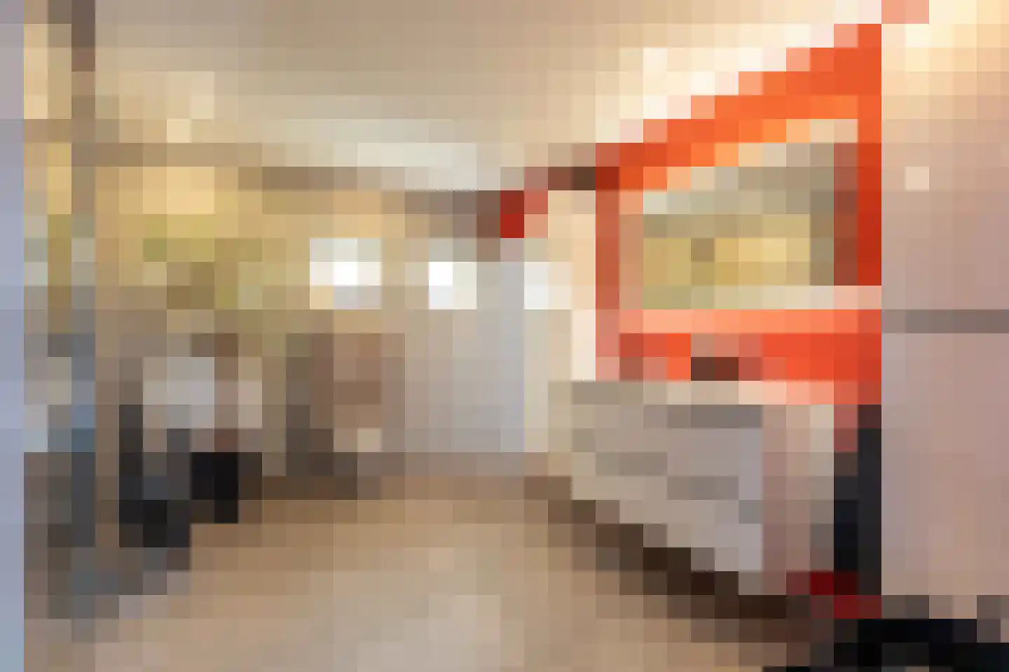 Dr.v.d.Hoevenlaan 18 Eefde thumbnail 21