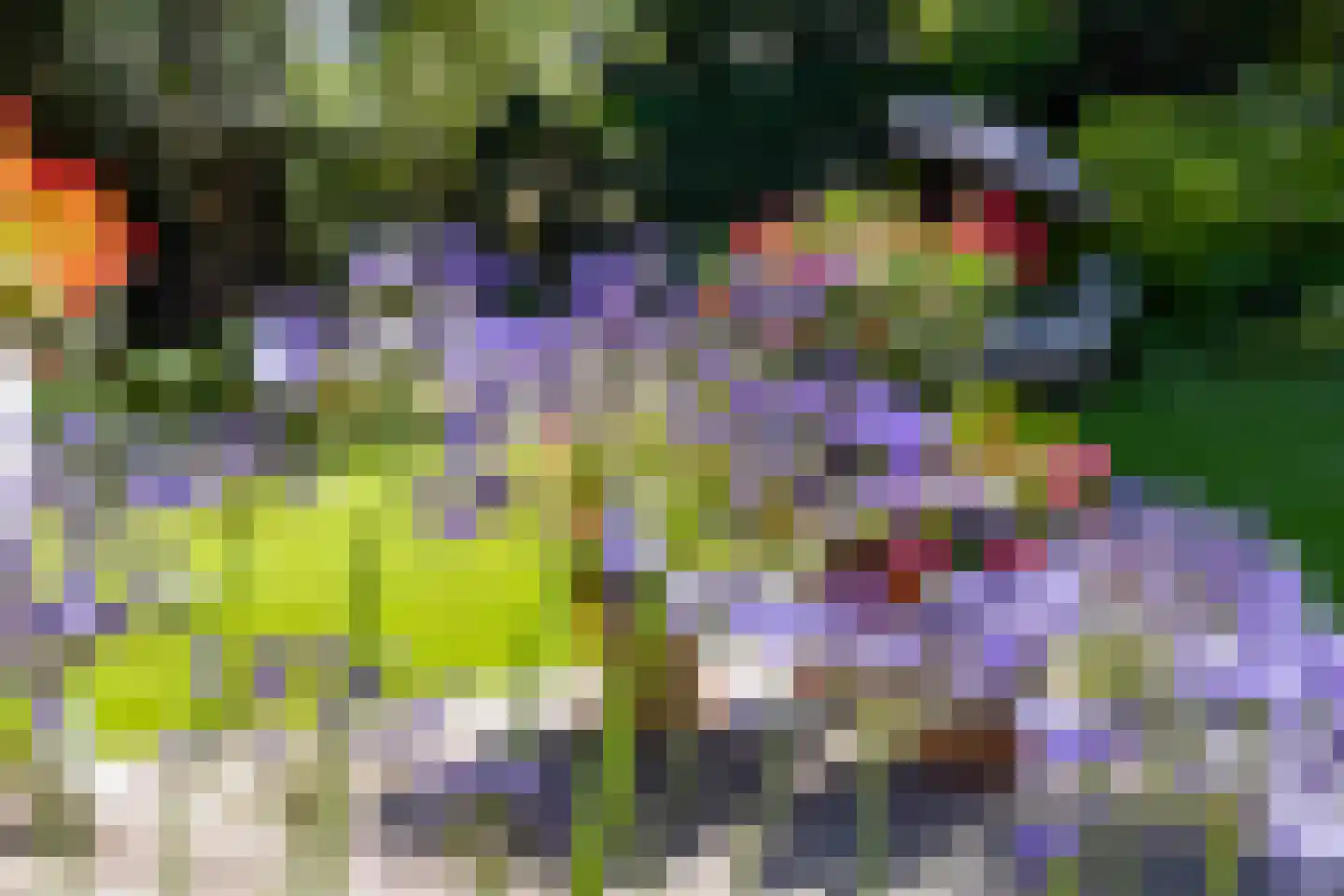 Dr.v.d.Hoevenlaan 18 Eefde thumbnail 38