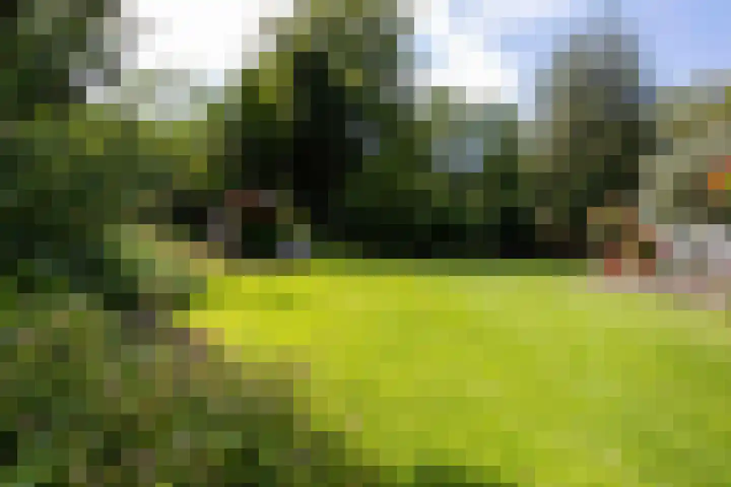 Dr.v.d.Hoevenlaan 18 Eefde thumbnail 41