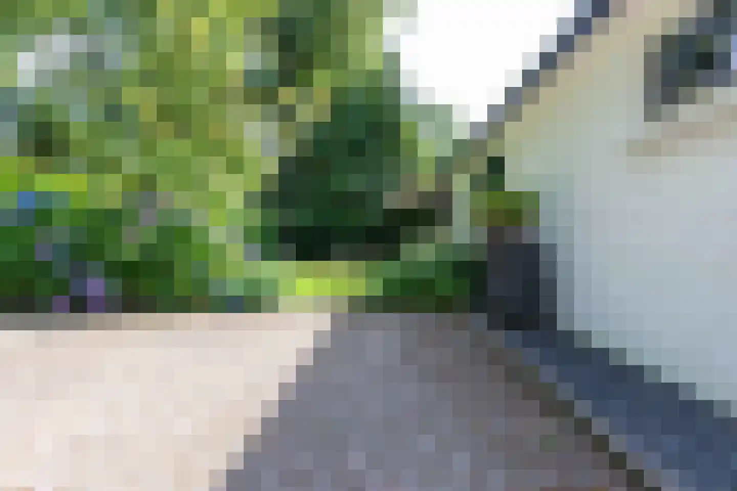 Dr.v.d.Hoevenlaan 18 Eefde thumbnail 48