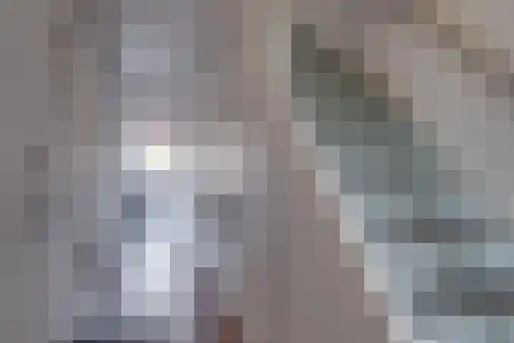 Dr.v.d.Hoevenlaan 21 Eefde thumbnail 13