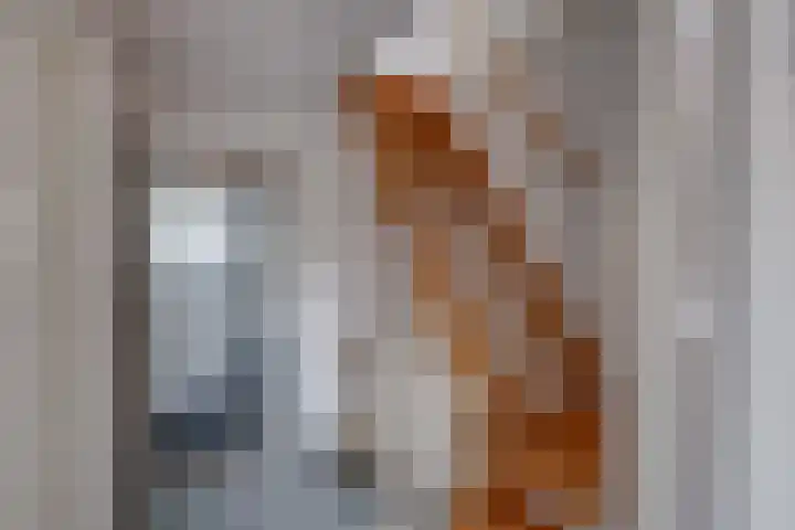 Dr.v.d.Hoevenlaan 21 Eefde thumbnail 18