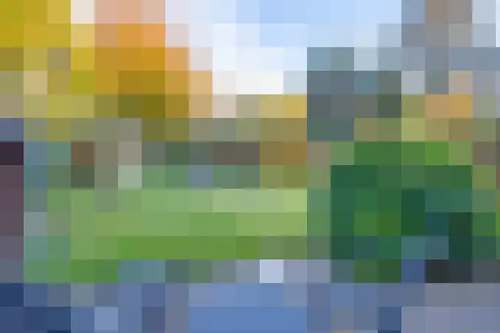 Dr.v.d.Hoevenlaan 21 Eefde thumbnail 22