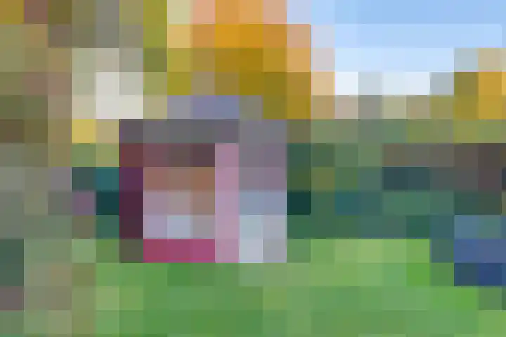 Dr.v.d.Hoevenlaan 21 Eefde thumbnail 23